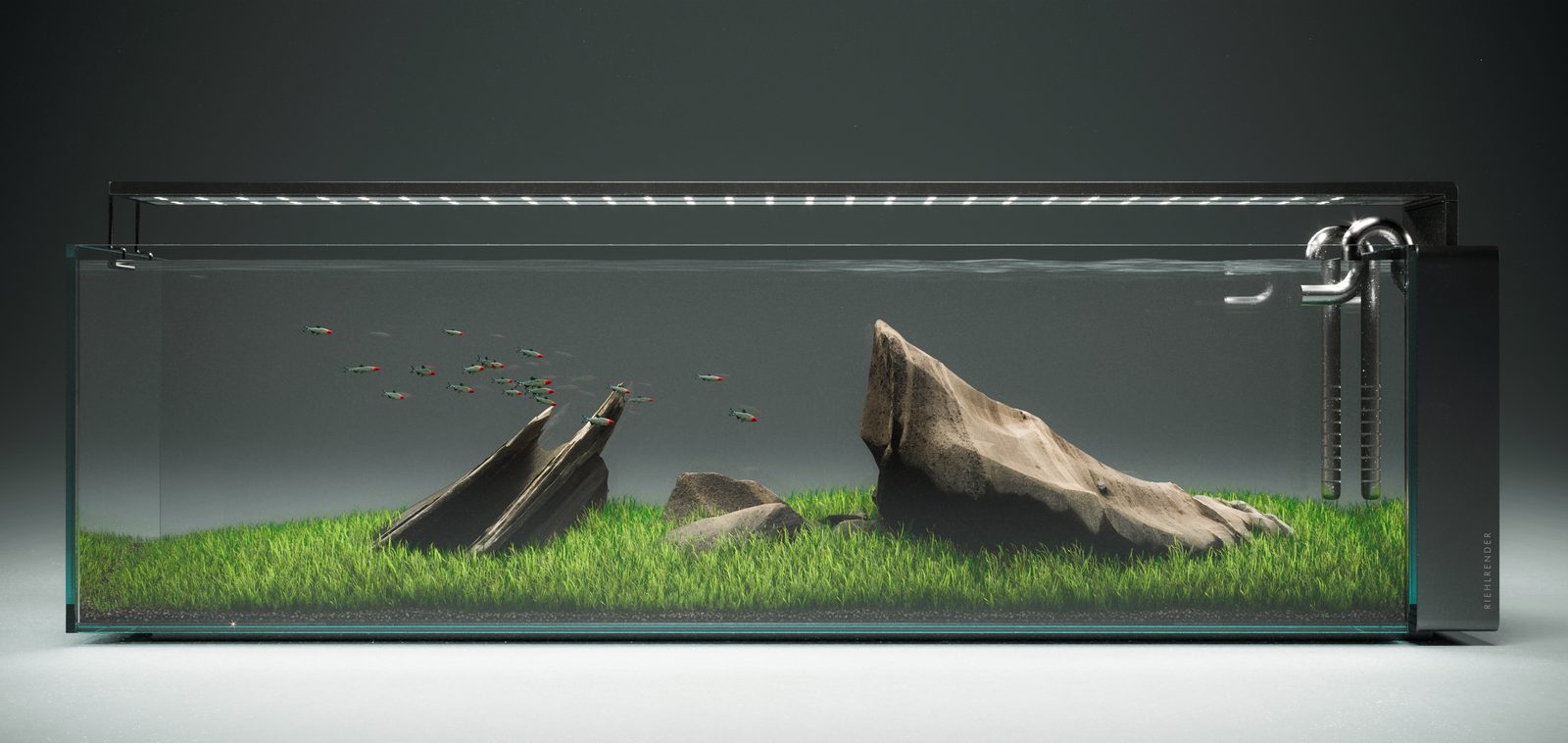 Aquascaping